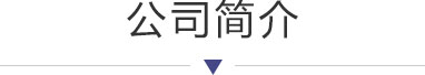 公司介绍