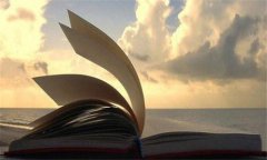 从“醉荷”案看美术作品临摹行为...